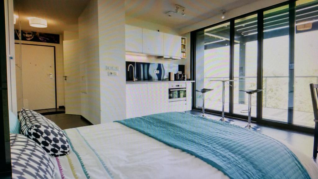 Studio Avec Terrace Docks Estrasburgo Exterior foto